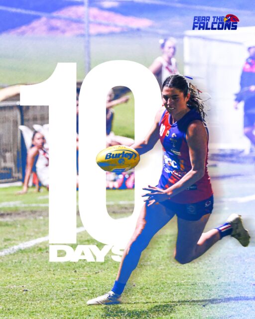 Yikes...you need to buy a membership asap!
10 days until our @city_of_joondalup WAFLW & Delta Lithium Rogers Cup returns🔥Memberships📲Link in bio